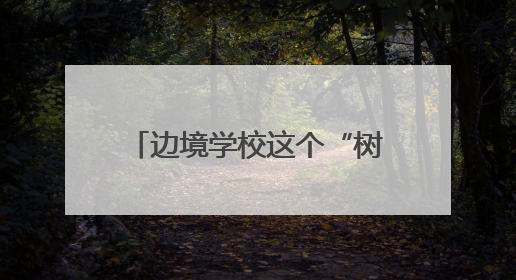 边境学校这个“树洞信箱” 实现了孩子上百个小愿望
