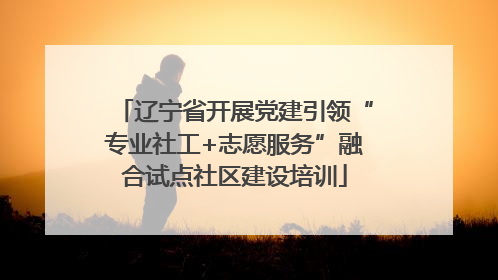 辽宁省开展党建引领“专业社工+志愿服务”融合试点社区建设培训