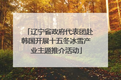辽宁省政府代表团赴韩国开展十五冬冰雪产业主题推介活动