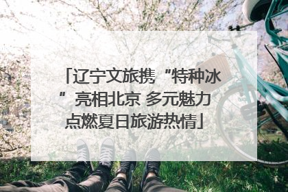 辽宁文旅携“特种冰”亮相北京 多元魅力点燃夏日旅游热情