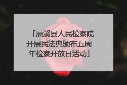 辰溪县人民检察院开展民法典颁布五周年检察开放日活动