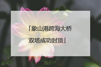 象山港跨海大桥双塔成功封顶