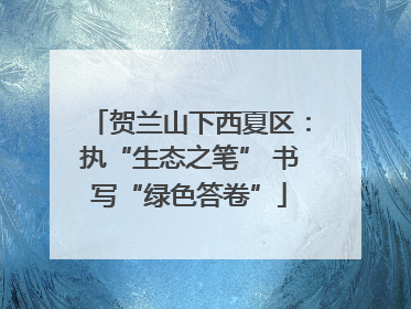 贺兰山下西夏区：执“生态之笔” 书写“绿色答卷”