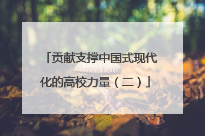 贡献支撑中国式现代化的高校力量（二）