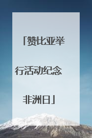 赞比亚举行活动纪念非洲日