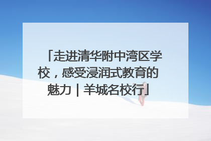 走进清华附中湾区学校，感受浸润式教育的魅力｜羊城名校行