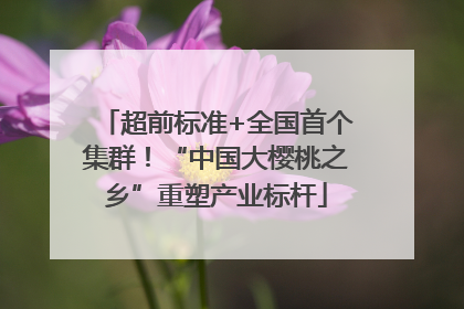 超前标准+全国首个集群！“中国大樱桃之乡”重塑产业标杆
