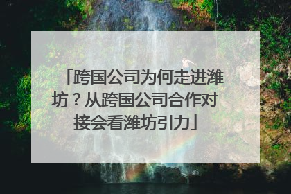 跨国公司为何走进潍坊？从跨国公司合作对接会看潍坊引力