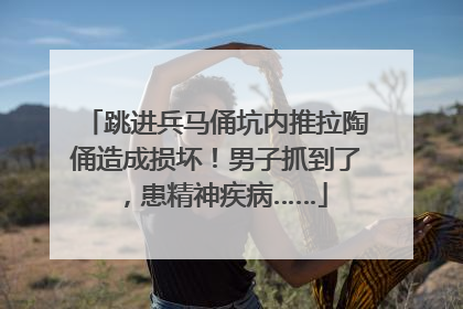 跳进兵马俑坑内推拉陶俑造成损坏！男子抓到了，患精神疾病……