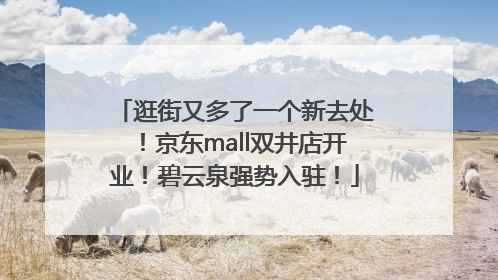 逛街又多了一个新去处！京东mall双井店开业！碧云泉强势入驻！