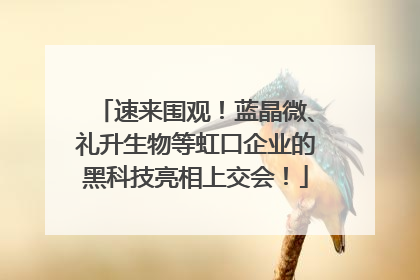 速来围观！蓝晶微、礼升生物等虹口企业的黑科技亮相上交会！