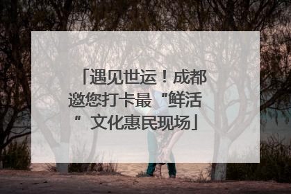 遇见世运！成都邀您打卡最“鲜活”文化惠民现场