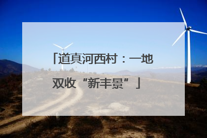 道真河西村：一地双收“新丰景”