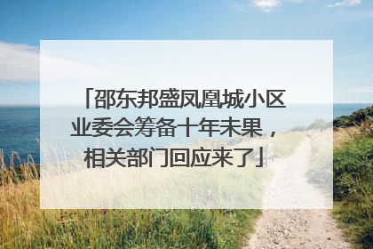 邵东邦盛凤凰城小区业委会筹备十年未果，相关部门回应来了