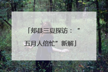 郏县三夏探访：“五月人倍忙”新解