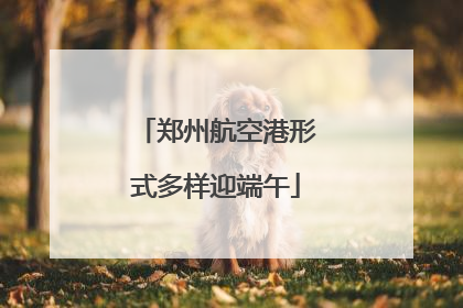 郑州航空港形式多样迎端午