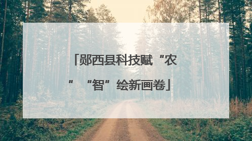 郧西县科技赋“农”“智”绘新画卷