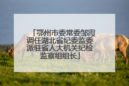 鄂州市委常委邹霞调任湖北省纪委监委派驻省人大机关纪检监察组组长