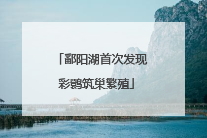鄱阳湖首次发现彩鹮筑巢繁殖