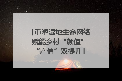 重塑湿地生命网络 赋能乡村“颜值”“产值”双提升