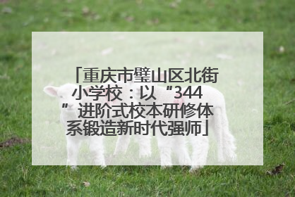 重庆市璧山区北街小学校：以“344”进阶式校本研修体系锻造新时代强师