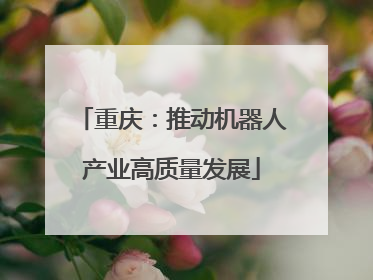 重庆：推动机器人产业高质量发展