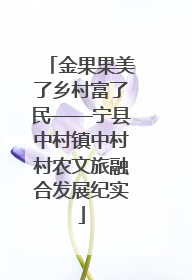 金果果美了乡村富了民——宁县中村镇中村村农文旅融合发展纪实