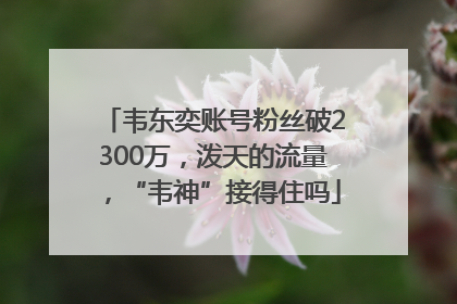 韦东奕账号粉丝破2300万，泼天的流量，“韦神”接得住吗