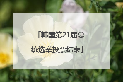 韩国第21届总统选举投票结束