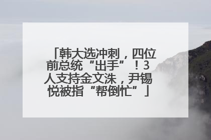 韩大选冲刺，四位前总统“出手”！3人支持金文洙，尹锡悦被指“帮倒忙”