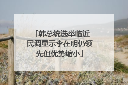 韩总统选举临近 民调显示李在明仍领先但优势缩小