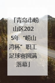 青岛市崂山区2025年“崂山湾杯”职工足球赛圆满落幕