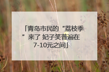 青岛市民的“荔枝季”来了 妃子笑普遍在7-10元之间