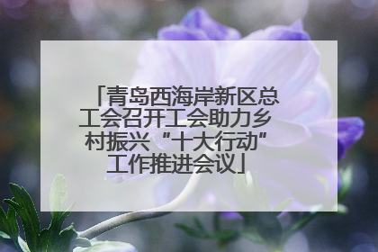 青岛西海岸新区总工会召开工会助力乡村振兴“十大行动”工作推进会议