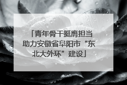 青年骨干挺膺担当 助力安徽省阜阳市“东北大外环”建设