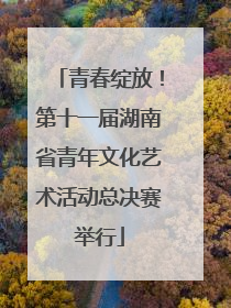 青春绽放！第十一届湖南省青年文化艺术活动总决赛举行