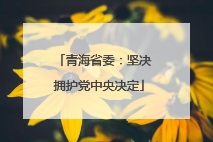 青海省委：坚决拥护党中央决定