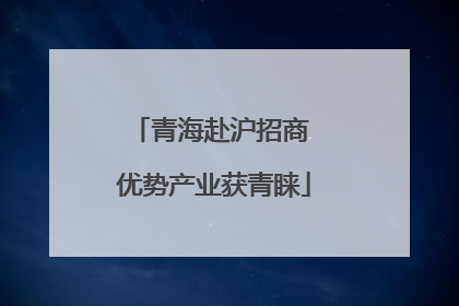 青海赴沪招商 优势产业获青睐