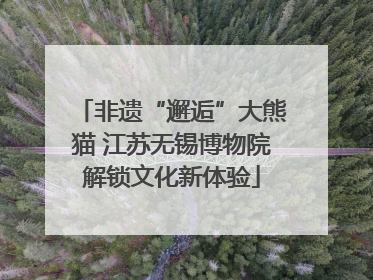非遗“邂逅”大熊猫 江苏无锡博物院解锁文化新体验