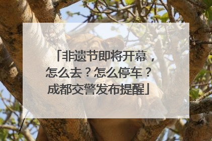 非遗节即将开幕，怎么去？怎么停车？成都交警发布提醒
