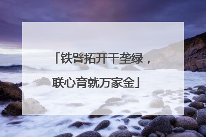 铁臂拓开千垄绿，联心育就万家金
