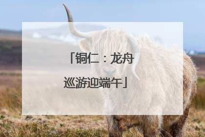 铜仁：龙舟巡游迎端午