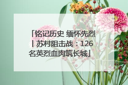 铭记历史 缅怀先烈丨苏村阻击战：126名英烈血肉筑长城