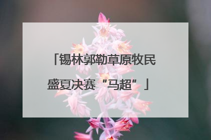 锡林郭勒草原牧民盛夏决赛“马超”