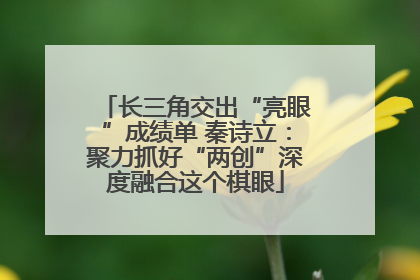 长三角交出“亮眼”成绩单 秦诗立：聚力抓好“两创”深度融合这个棋眼