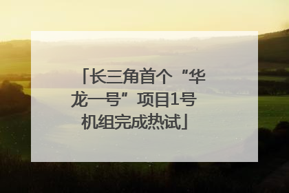 长三角首个“华龙一号”项目1号机组完成热试