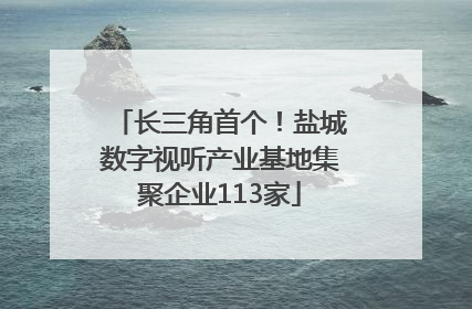 长三角首个！盐城数字视听产业基地集聚企业113家