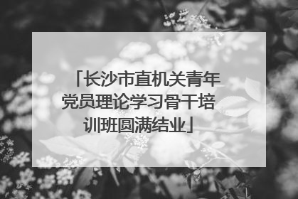 长沙市直机关青年党员理论学习骨干培训班圆满结业