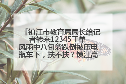 镇江市教育局局长给记者转来12345工单 风雨中八旬翁跌倒被压电瓶车下，扶不扶？镇江高职学子选择令人钦佩
