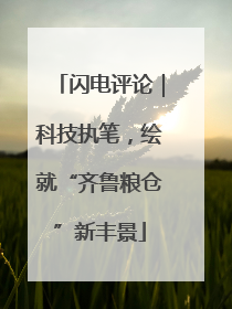 闪电评论｜科技执笔，绘就“齐鲁粮仓”新丰景